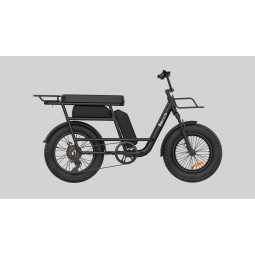 Vélo électrique Baicycle A15 250W Double batterie 48V 13Ah