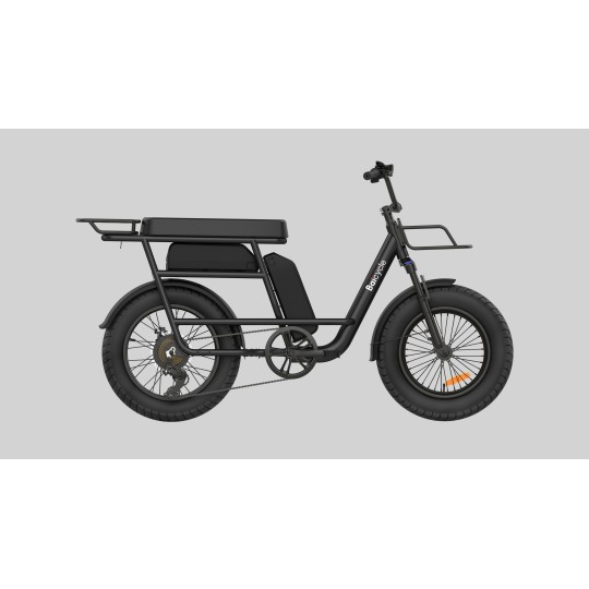 Vélo électrique Baicycle A15 500W 48V 13Ah