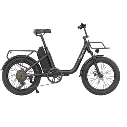 Baicycle DS3 250W 36V 13Ah Electric Bike Cargo