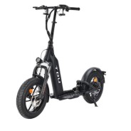 Trottinette électrique V2 500W 48V 13Ah