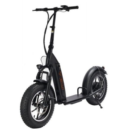 Trottinette Moving Motor V3 500W 48V 10.4Ah
