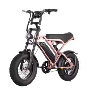 Vélo électrique Moving Motor V20 Mini  250W 36V 13Ah
