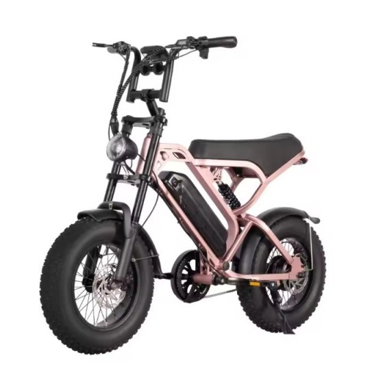 Vélo électrique Moving Motor V20 Mini  250W 36V 13Ah