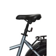 Vélo électrique OVIVO NEO C1 Pro 250W 36V 10,4Ah