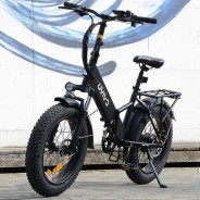 Vélo électrique OVIVO NEO C1 Pro 250W 36V 10,4Ah