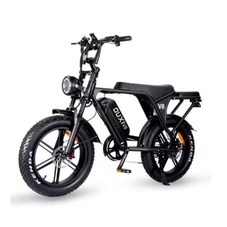 Bicicletta elettrica assistita Moving Motor V8 250W 48V 15Ah