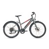 Vélo assistance électrique Jobo Viva ST 250W 36V 14A
