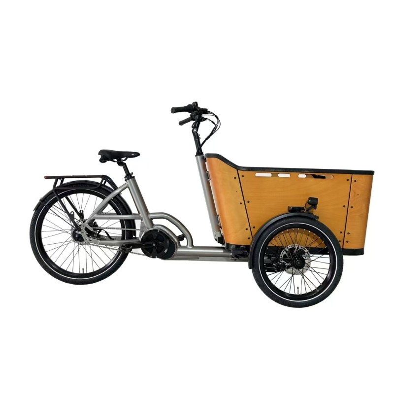 Vélo Cargo assistance électrique BAI70C 250W 36V 13Ah