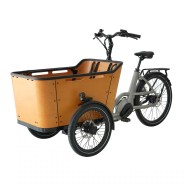 Vélo Cargo assistance électrique BAI70C 250W 36V 13Ah