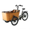 Vélo Cargo assistance électrique BAI70C 250W 36V 13Ah