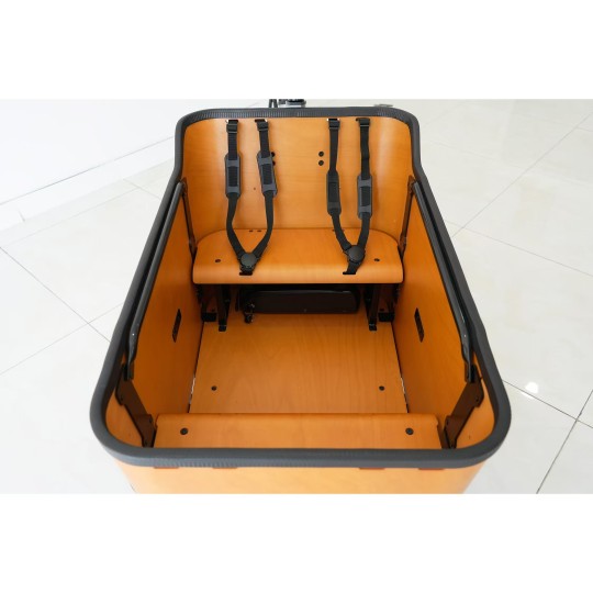 Vélo Cargo assistance électrique BAI70C 250W 36V 13Ah
