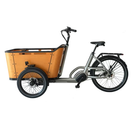 Vélo Cargo assistance électrique BAI70C 250W 36V 13Ah