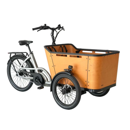 Vélo Cargo assistance électrique BAI70C 250W 36V 13Ah