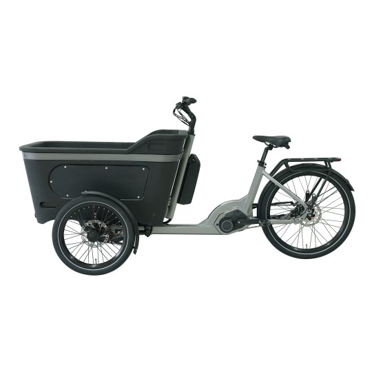 Vélo Cargo assistance électrique BAI005 250W 36V 13Ah