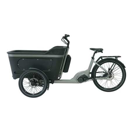 Vélo Cargo assistance électrique BAI005 250W 36V 13Ah