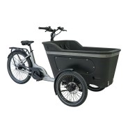 Vélo Cargo assistance électrique BAI005 250W 36V 13Ah