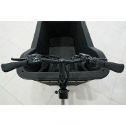 Vélo Cargo assistance électrique BAI005 250W 36V 13Ah