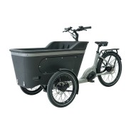 Vélo Cargo assistance électrique BAI005 250W 36V 13Ah