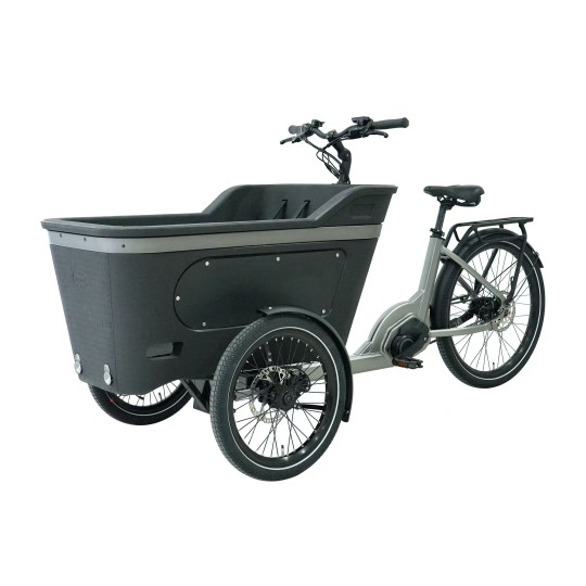 Vélo Cargo assistance électrique BAI005 250W 36V 13Ah