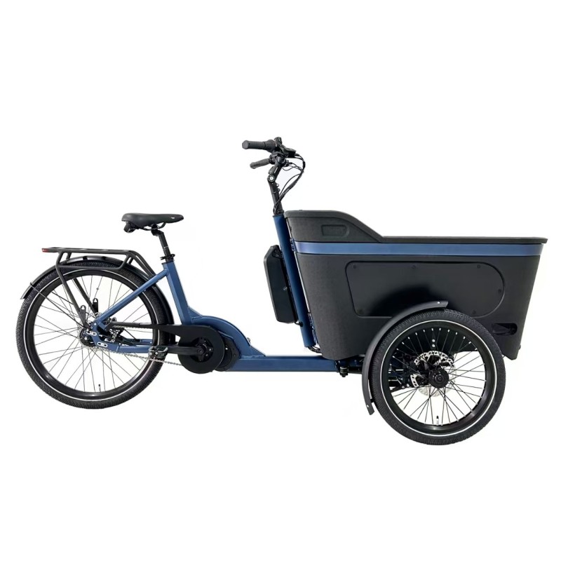 Vélo Cargo assistance électrique BAI005C 250W 36V 13Ah