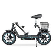 Trottinette électrique Twofish M5 Elite 500W 48V 13Ah