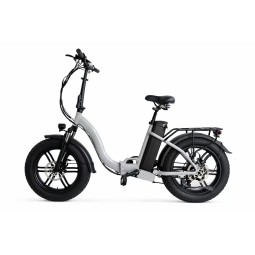 Vélo électrique Moving Motor fatebike F1
