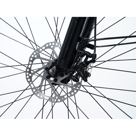 Vélo électrique Moving Motor Citadin C2