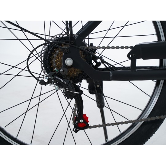 Vélo électrique Moving Motor Citadin C2