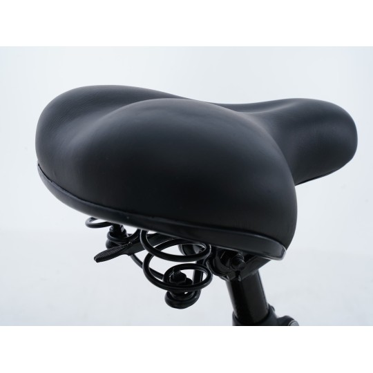 Vélo électrique Moving Motor Citadin C2