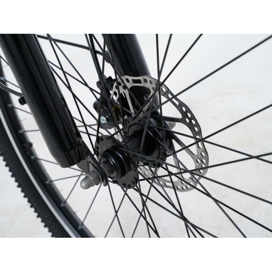 Vélo électrique Moving Motor Citadin C2