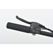 Trottinette électrique G2 Pro 1000W*2 52V 21Ah
