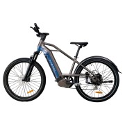 Vélos électrique